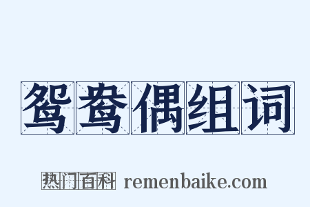 鸳鸯偶组词是什么意思的图片